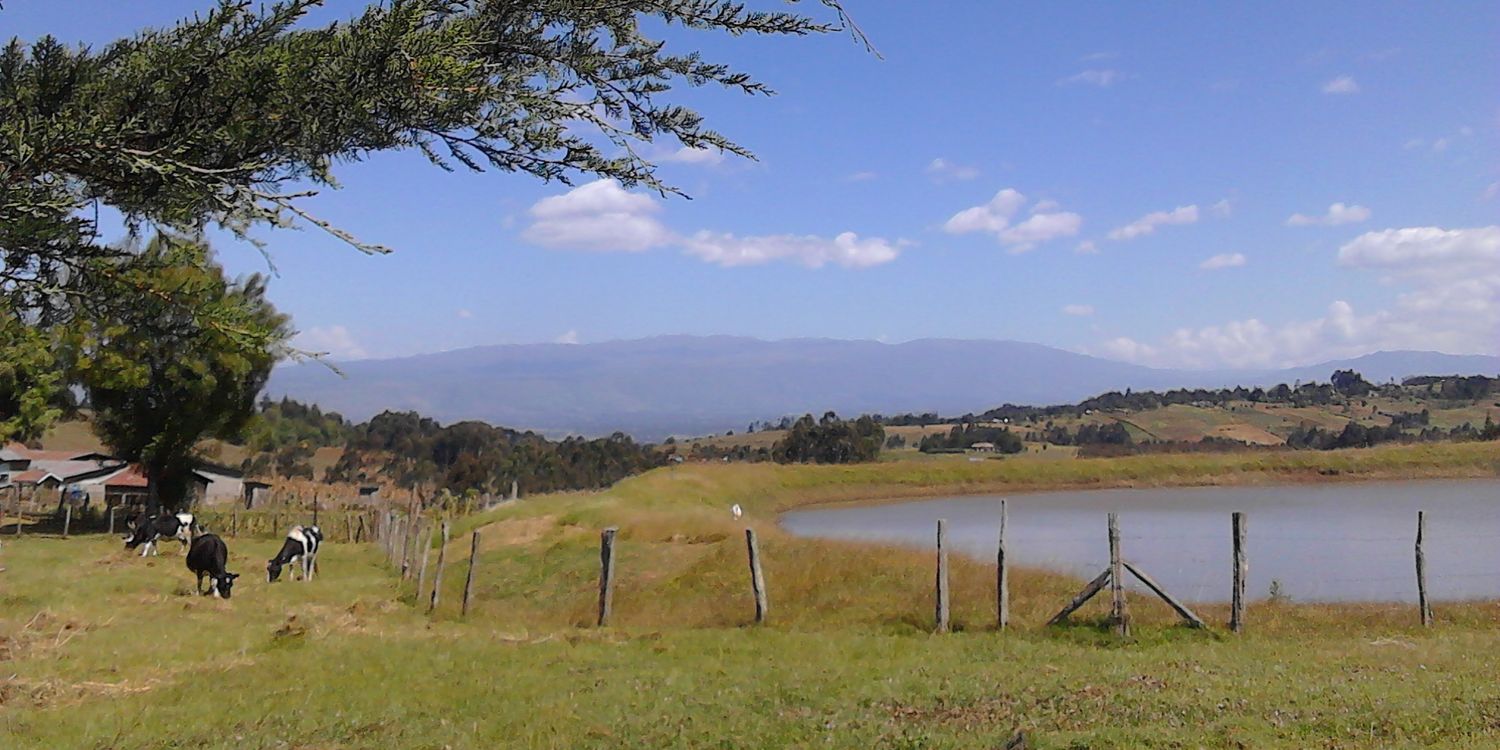 khoisweet's profile banner image