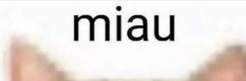 ♦️♣️♥️♠️!Boorf!♠️♥️♣️♦️ banner