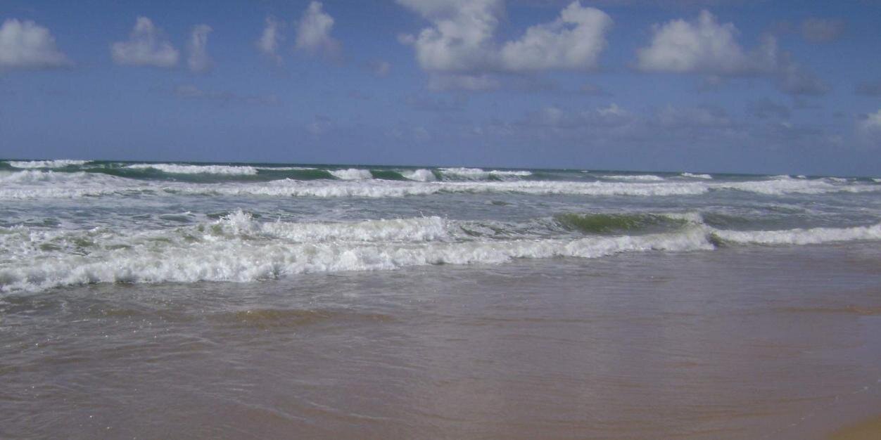 Aída Beatriz Sánchez's banner