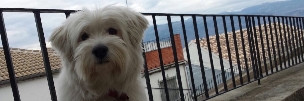 Franmactrf's profile banner image