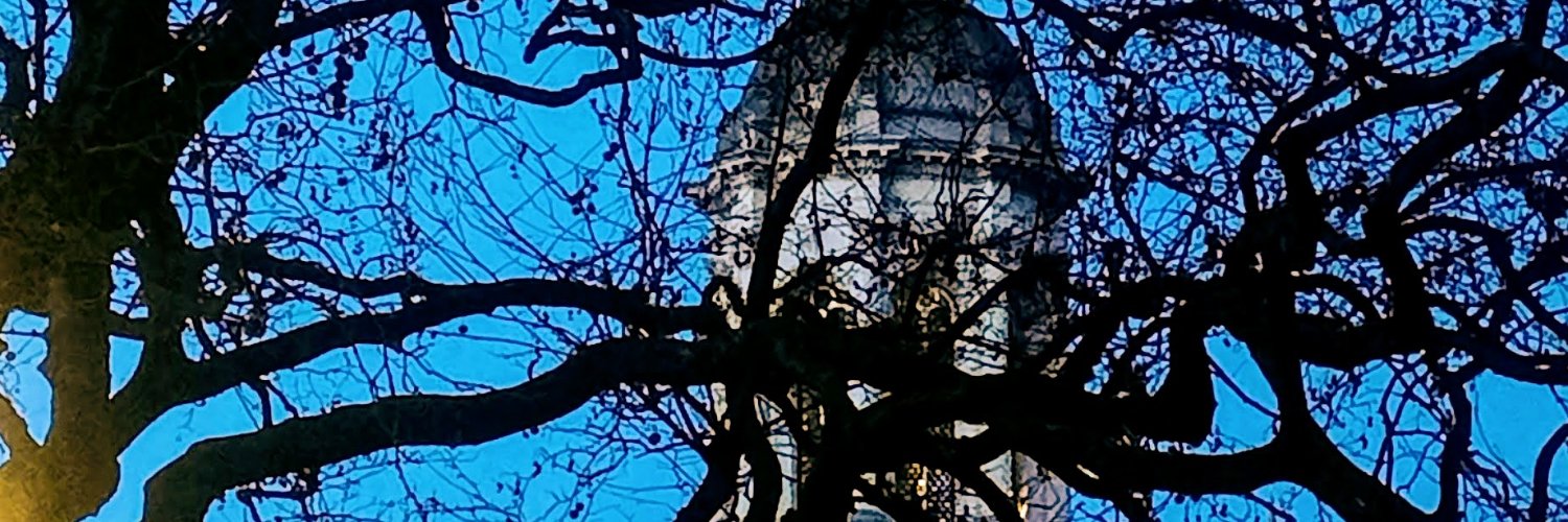 Ayushi Pandey, PhD banner