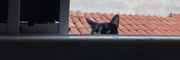 frikotys's profile banner image