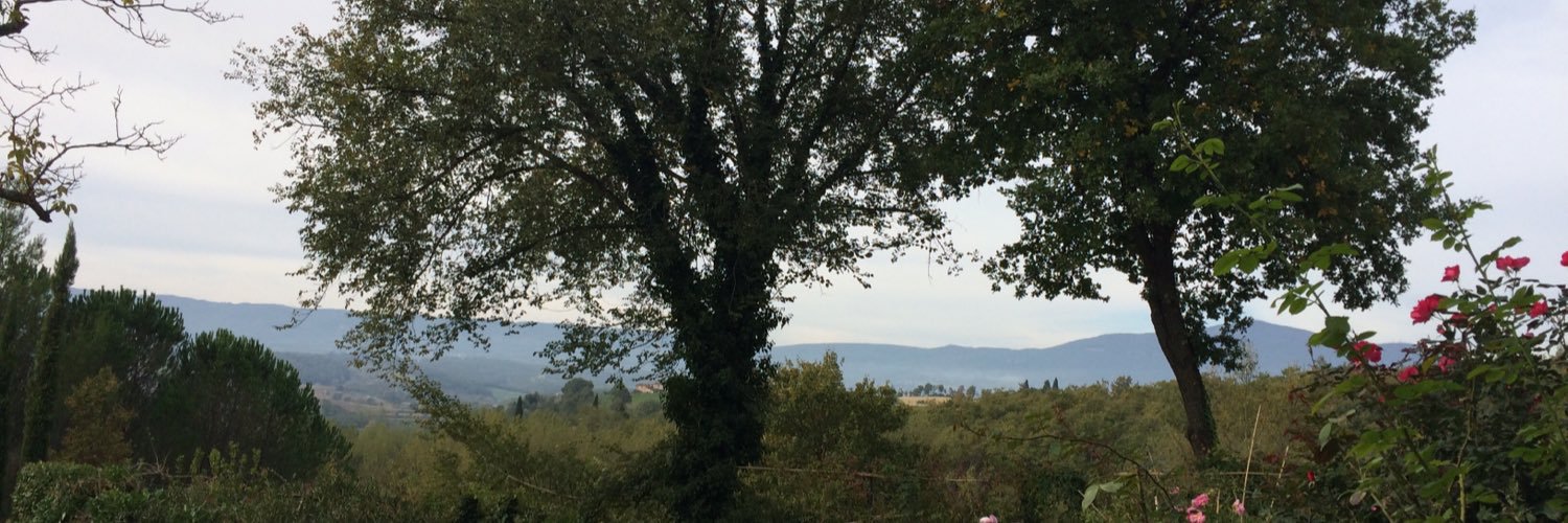 Viktoria Raft banner