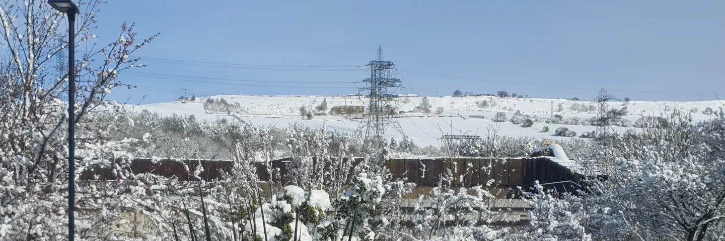Sarah 🦉⚽️🏳️‍🌈 🏳️‍⚧️🚲 banner