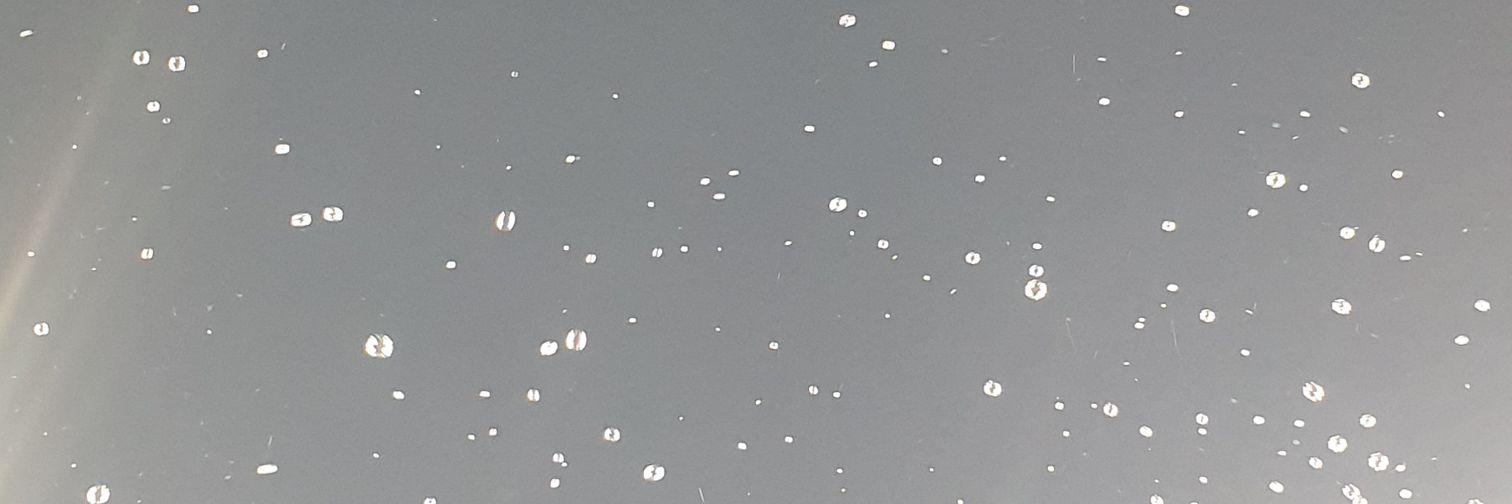 Rachel 💙💜 banner