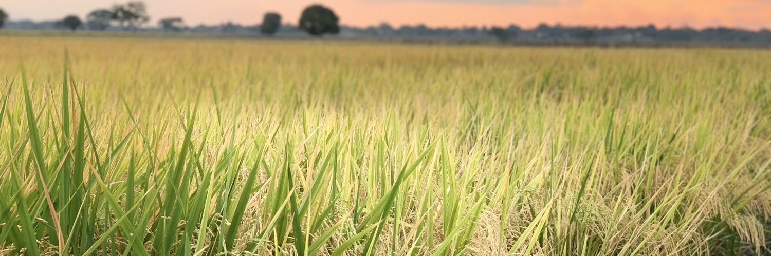 pedrosantost's profile banner image