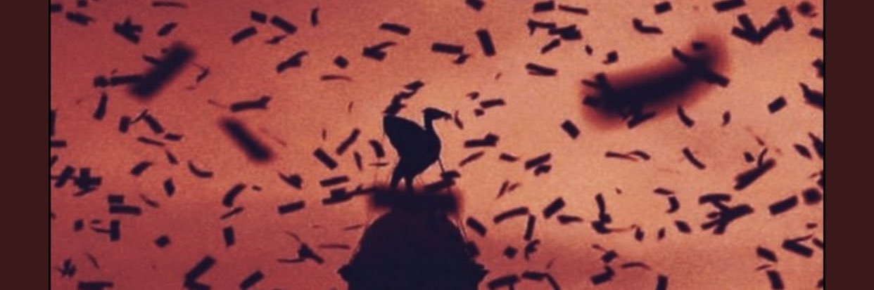 LiamMorrils's profile banner image