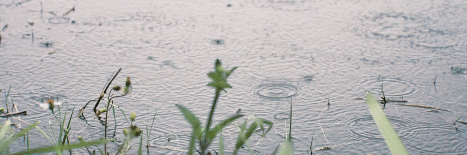 npcy_p's profile banner image