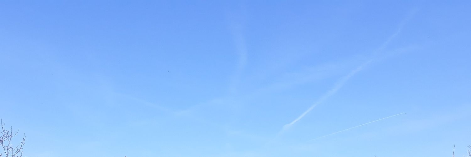 the_real_Venatrix banner