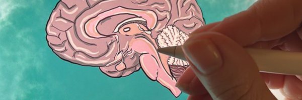 HMiniSaLT Profile Banner