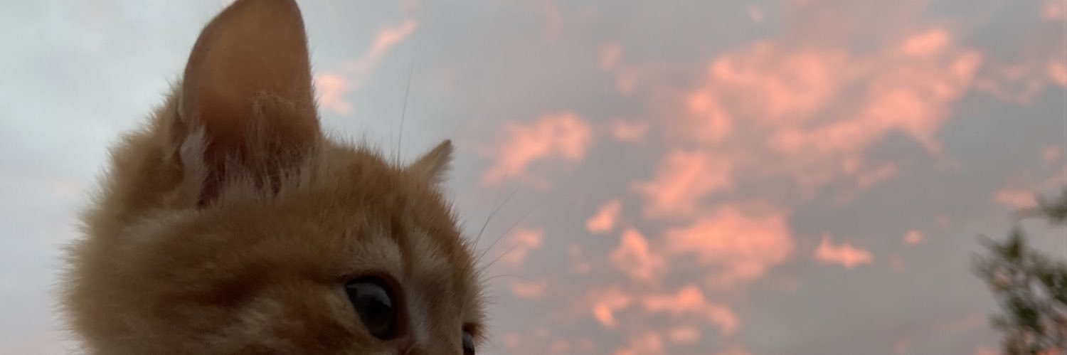 Sinemchs's profile banner image