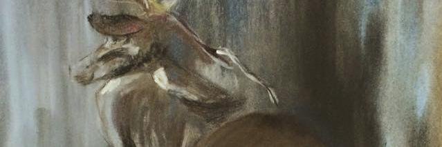 cucicov's profile banner image