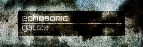 echosonic's profile banner image