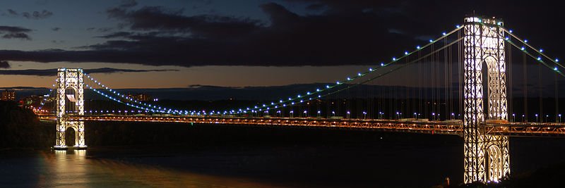 _ellen_murphy banner