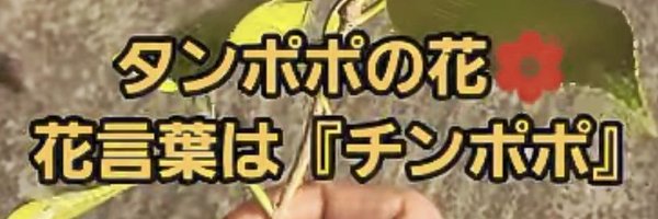 _nobaQ Profile Banner