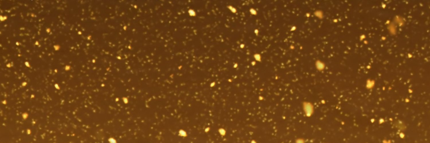 IAEV1995's profile banner image