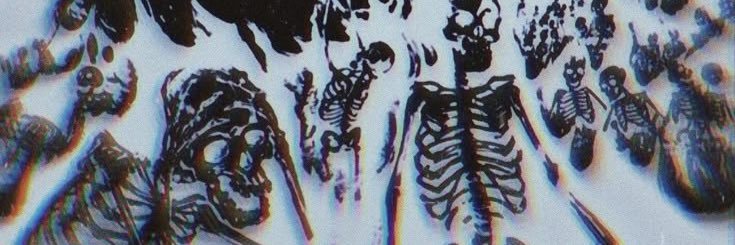 ibuproFen ~ 🌸 banner