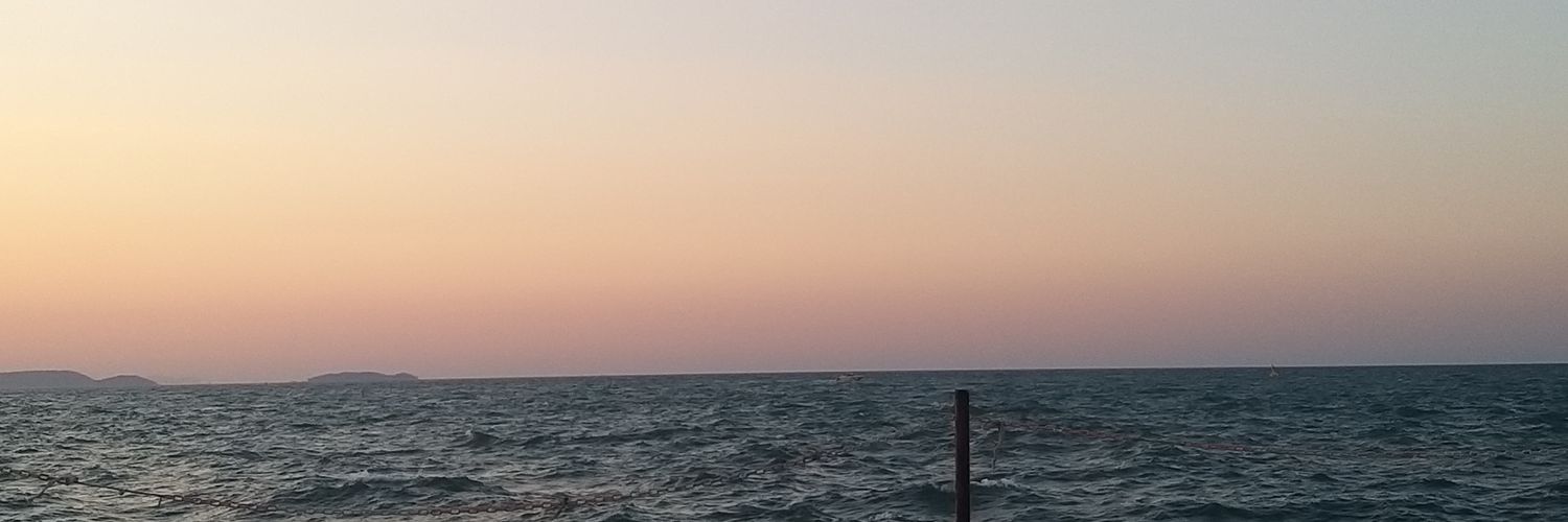 StangSutti's profile banner image
