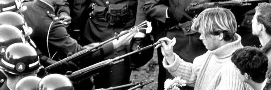 Sara_Ibrahim's profile banner image