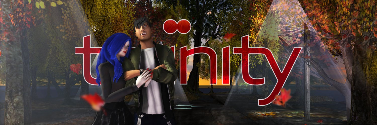 twinity's profile banner image