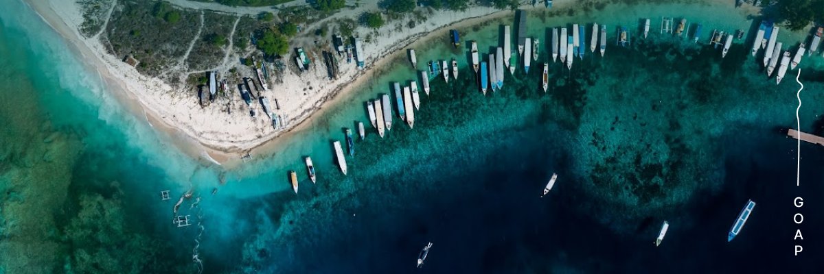 Global Ocean Accounts Partnership (GOAP) banner