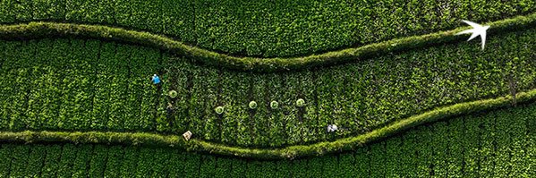 BNP Paribas AM banner