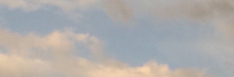 T banner