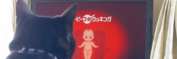 keytailuni Profile Banner