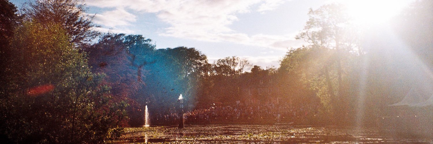 Lily banner