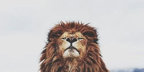 sserapyyarar's profile banner image
