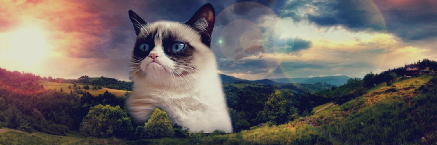 Judith Bedenkmayr banner