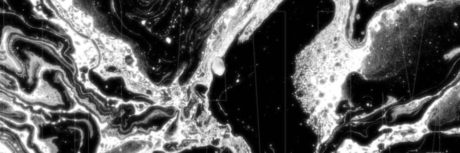 NicoleLeary's profile banner image