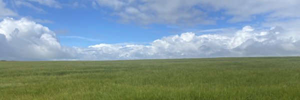 AlexMenys Profile Banner