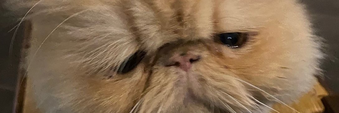 Berzelius Thorium banner