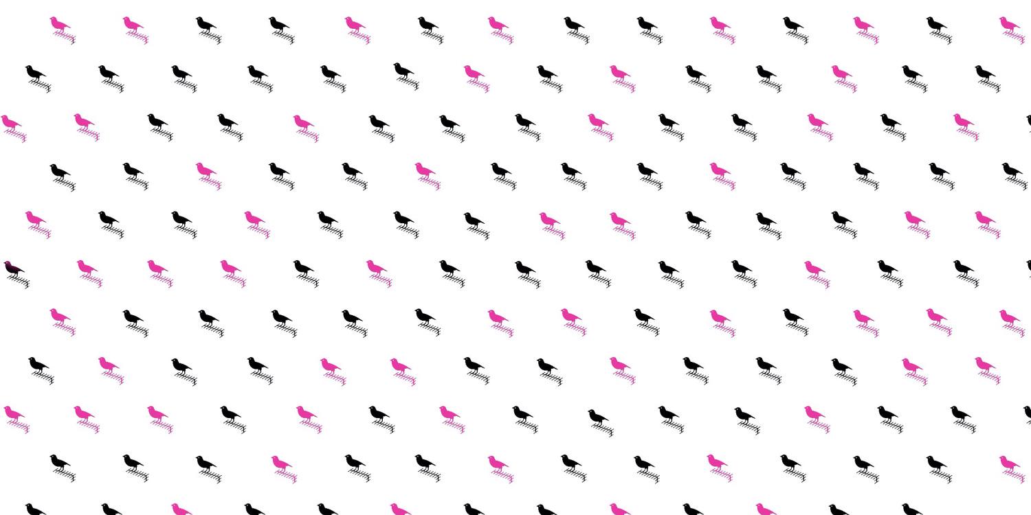 A Little Bird banner