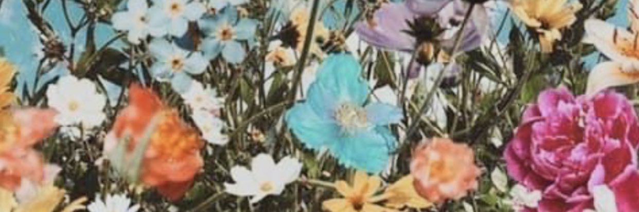 morganmason09's profile banner image