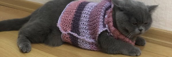 vikikoftesi Profile Banner