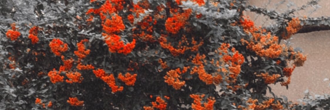 اِفِکشن هستم banner