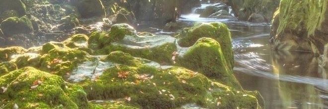 rinfzZz's profile banner image