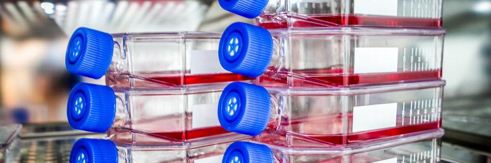 StemCells banner