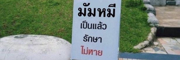ᐢ. ֑ .ᐢ banner