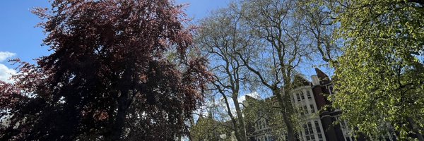 XiangruiMeng158 Profile Banner