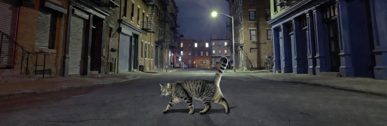 CATalytic Enlightenment 🔋🔌♐🌈 (No DMs Please) banner