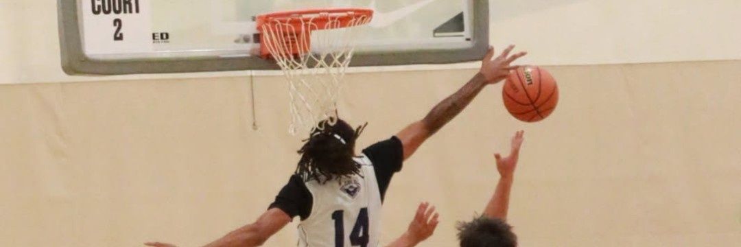 jodi anderson banner