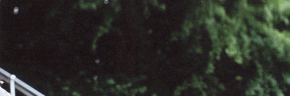 𝐅𝐨𝐫 𝐝𝐚𝐲𝐬. banner