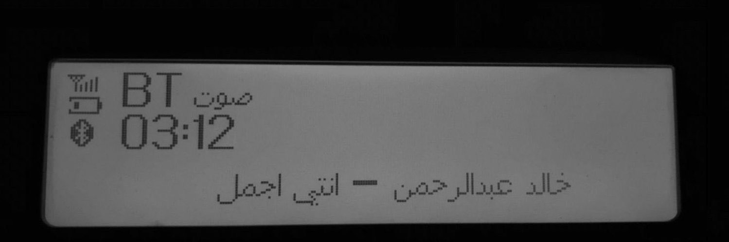 Dana . banner