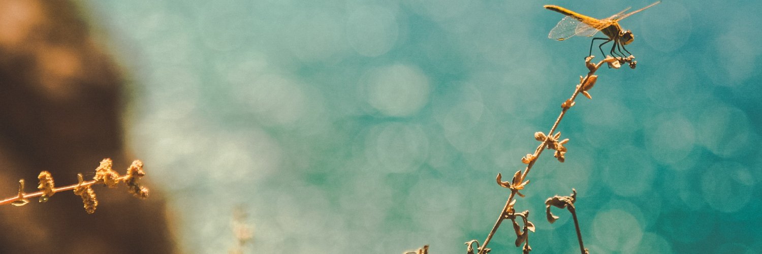 rafaelktistakis's profile banner image