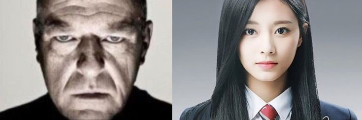 𝖓𝖔𝖇𝖗𝖊.ᶜʳᶠ banner