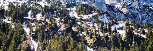 Ines_Pons5 Profile Banner