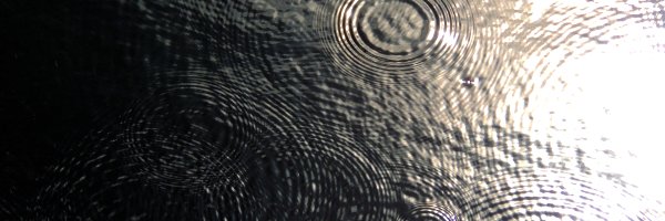 auntie_fish's profile banner image